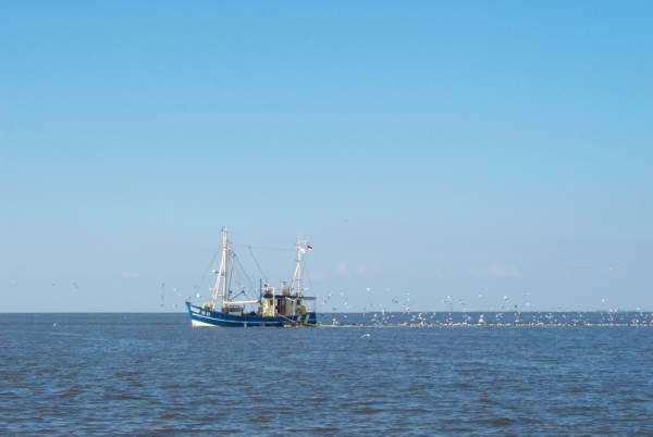 Nonnenganshauser Friedrichskoog Buitenkant foto
